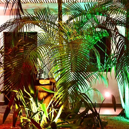Pacha Tulum Boutique Hotel-3